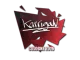 Sticker | karrigan | Cologne 2016 CS2 skin