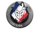 Sticker | G2 Esports | Katowice 2019 CS2 skin