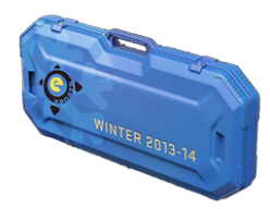 eSports 2013 Winter Case