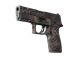 P250 | Facility Draft (Well-Worn)