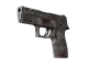 P250 | Facility Draft CS2 skin