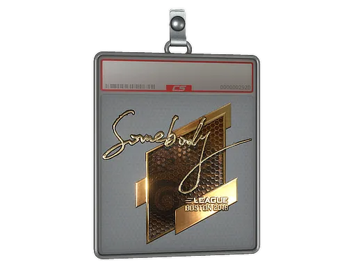 Sticker Slab | somebody (Gold) | Boston 2018