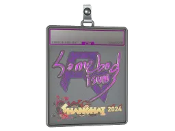 Sticker Slab | somebody (Holo) | Shanghai 2024