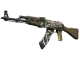 AK-47 | Wasteland Rebel CS2 skin