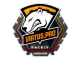 Sticker | Virtus.Pro | London 2018 CS2 skin