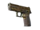 P250 | Sedimentary CS2 skin