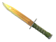 ★ StatTrak™ Bayonet | Lore (Well-Worn)