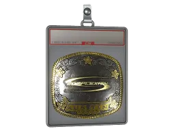 Sticker Slab | Complexity Gaming (Gold) | Austin 2025