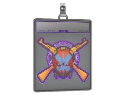 Sticker Slab | Master Guardian Elite (Holo)
