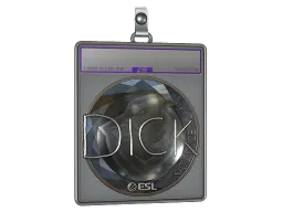 Sticker Slab | DickStacy (Foil) | Katowice 2019