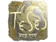 Sticker | TeSeS (Gold) | Austin 2025 CS2 skin