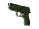 P250 | Verdigris CS2 skin