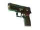 StatTrak™ P250 | Visions (Battle-Scarred)