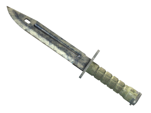 ★ Bayonet | Stained (Battle-Scarred)