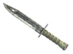 ★ Bayonet | Stained (Battle-Scarred)