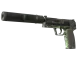 USP-S | Para Green CS2 skin