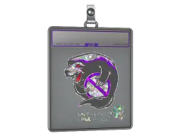 Sticker Slab | Outsiders (Glitter) | Antwerp 2022