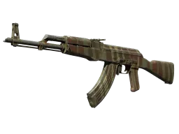 AK-47 | Predator (Well-Worn)
