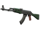 AK-47 | First Class skin