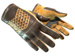 ★ Driver Gloves | Overtake (Factory New)