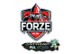 Sticker | forZe eSports (Glitter) | Antwerp 2022