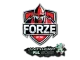 Sticker | forZe eSports (Glitter) | Antwerp 2022 CS2 skin