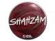 Sticker | ShahZaM | Katowice 2019 CS2 skin