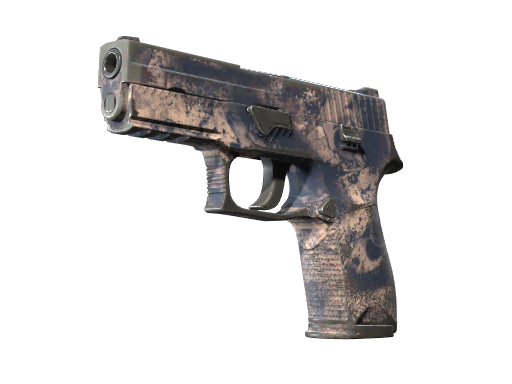 Souvenir P250 | Drought (Well-Worn)