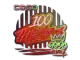 Sticker | 100 Thieves | 2020 RMR CS2 skin