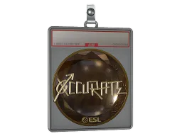 Sticker Slab | xccurate (Gold) | Katowice 2019
