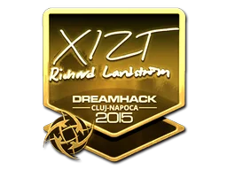 Sticker | Xizt (Gold) | Cluj-Napoca 2015