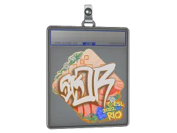 Sticker Slab | sk0R | Rio 2022
