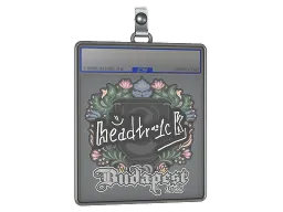 Sticker Slab | headtr1ck | Budapest 2025