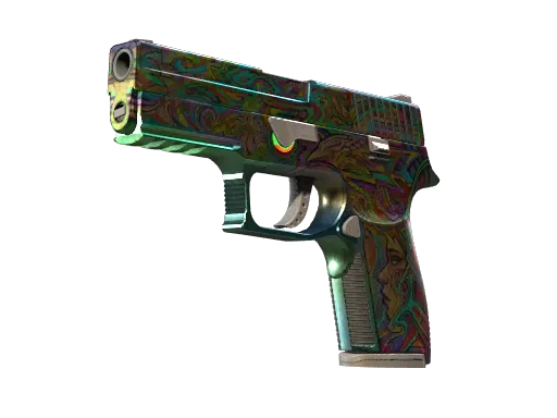 P250 | Visions (Well-Worn)