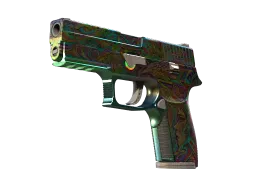 P250 | Visions (Well-Worn)