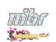 Sticker | MIBR (Glitter) | Shanghai 2024