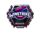 Sticker | Winstrike Team | London 2018 CS2 skin
