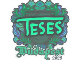 Sticker | TeSeS | Budapest 2025