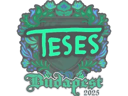 Sticker | TeSeS | Budapest 2025