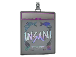 Sticker Slab | insani (Holo) | Austin 2025
