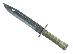 ★ StatTrak™ Bayonet | Stained (Factory New)