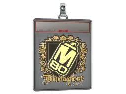 Sticker Slab | M80 (Gold) | Budapest 2025