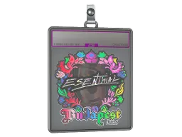 Sticker Slab | esenthial (Holo) | Budapest 2025