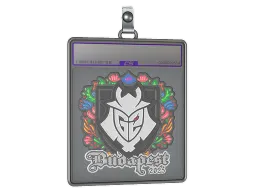 Sticker Slab | G2 esports (Embroidered) | Budapest 2025