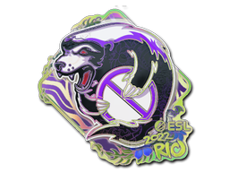 Sticker | Outsiders (Holo) | Rio 2022