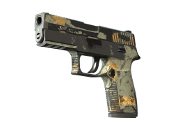 P250 | Modern Hunter (Battle-Scarred)