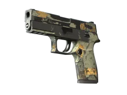 P250 | Modern Hunter (Battle-Scarred)