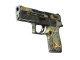 P250 | Modern Hunter CS2 skin