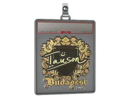 Sticker Slab | Tauson (Gold) | Budapest 2025