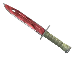 ★ StatTrak™ Bayonet | Slaughter (Field-Tested)